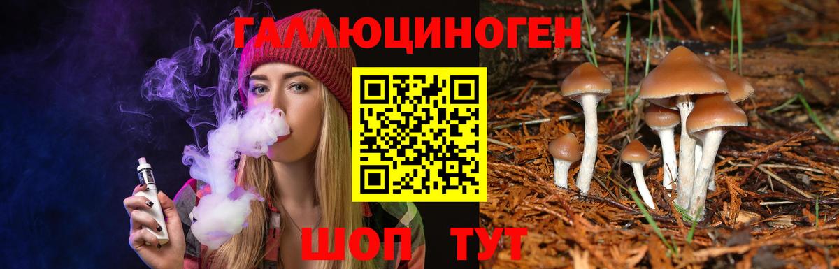 Галлюциногенные грибы Magic Shrooms  Вход с VPN  Нижнекамск 
